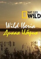 Дикая Иберия/Wild Iberia