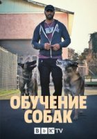Обучение собак/Canine Intervention