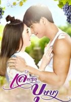 Пьянящее заблуждение/Bussabas Tricky Love