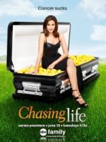 Погоня за жизнью/Chasing Life 2 сезон