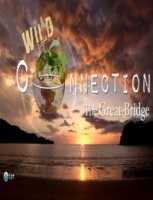 Соединяя континенты/Wild Connection