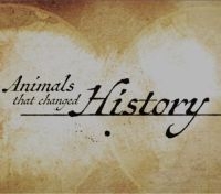 Животные, которые изменили историю/Animals that changed History