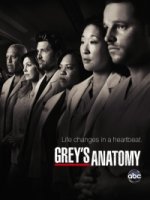 Анатомия страсти/Greys Anatomy 4 сезон