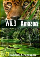 Дикая природа Амазонки/Wild Amazon