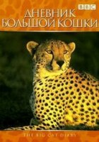 Дневник большой кошки/Big Cat Diary 6 сезон