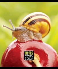 Макромиры/Macro Worlds 1 сезон