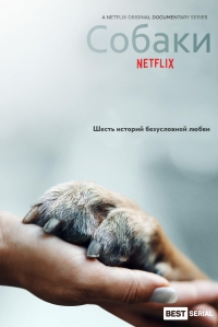 Собаки/Dogs 2 сезон