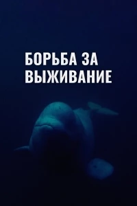 Борьба за выживание (2017)/Struggle for survival
