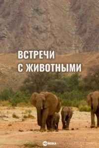 Встречи с животными/Animal Encounters
