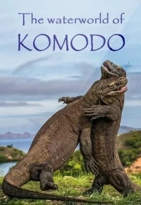 Водный мир острова Комодо/The Waterworld of Komodo