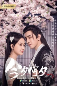 Какая сегодня ночь!/Twisted Fate of Love