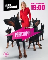 Ревизорро. Новый