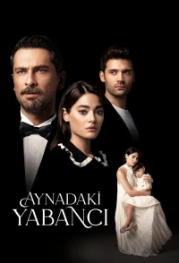 Незнакомец в зеркале/Aynadaki Yabancı