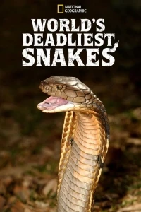 Самые смертоносные змеи в мире/World's Deadliest Snakes