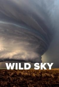 Дикое небо/Wild Sky